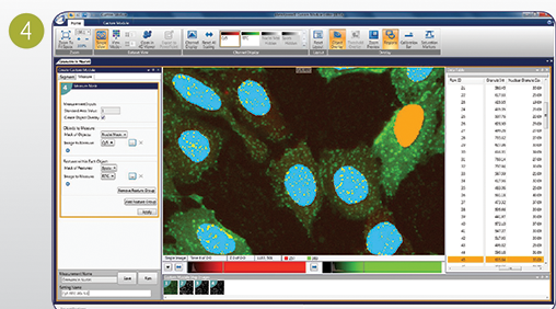 Finding granules in nuclei