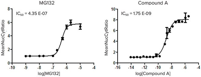 Dose response curves for positive control compound MG132 (left) and sample hit Compound A (right)