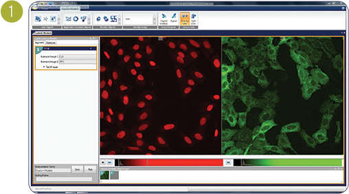 Finding granules in nuclei
