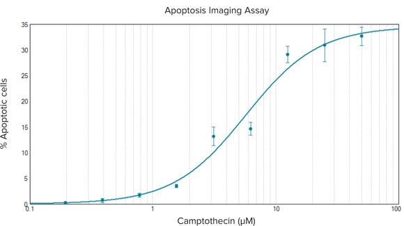 Dose-response curve for camptothecin-treated CHOm1 cells