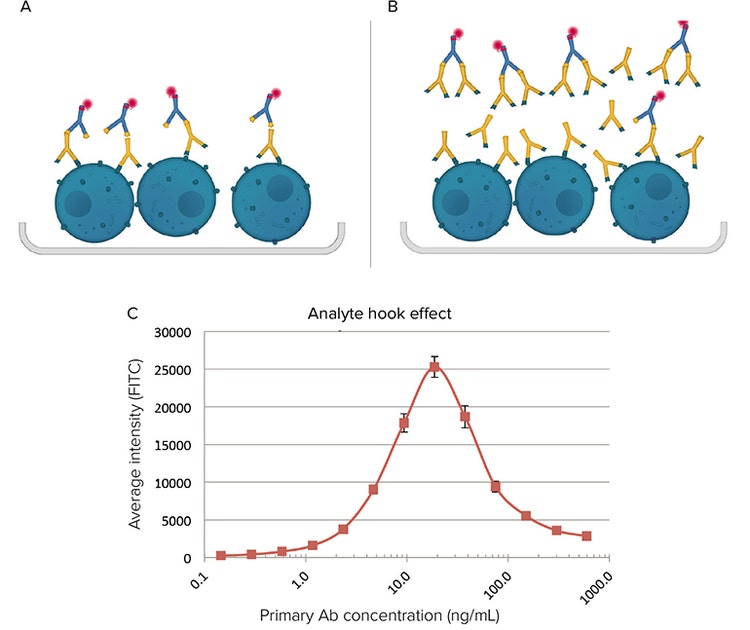 Homogeneous antibody binding assay