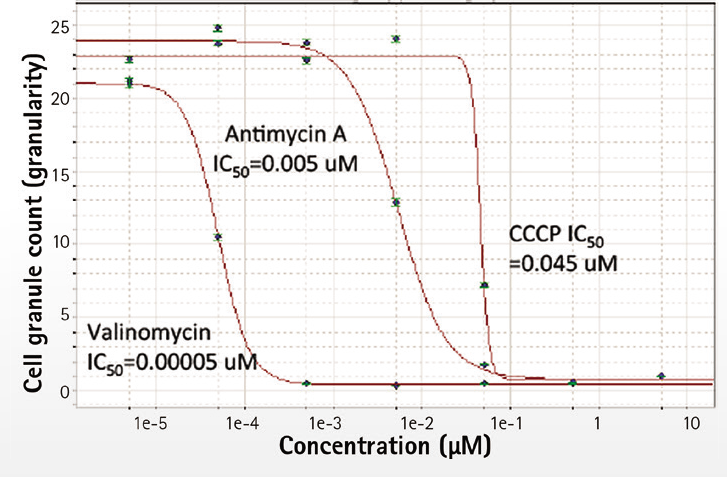 IC50 curve: mitochondrial count per cell