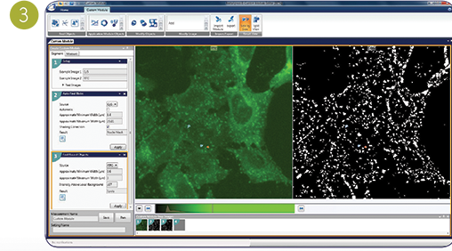 Finding granules in nuclei