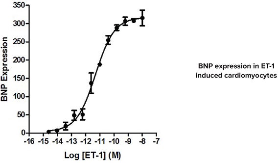 In this representative 384-well experiment