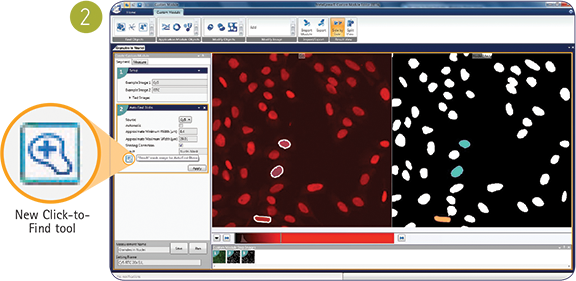 Finding granules in nuclei