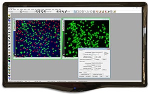 MetaMorph Microscopy Automation and Image Analysis Software