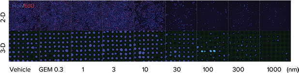 Traditionally plated cells vs. spheroids