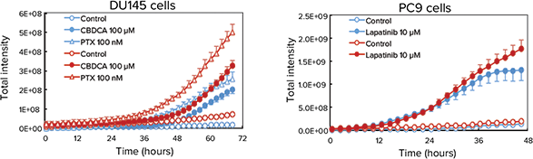 Quantitative analysis of the time-lapse images