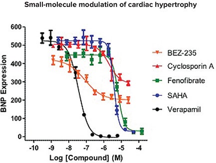 Representative data were plotted from multiple compound profiling