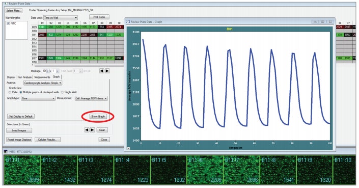Visualize cardiomyocyte beat pattern over time