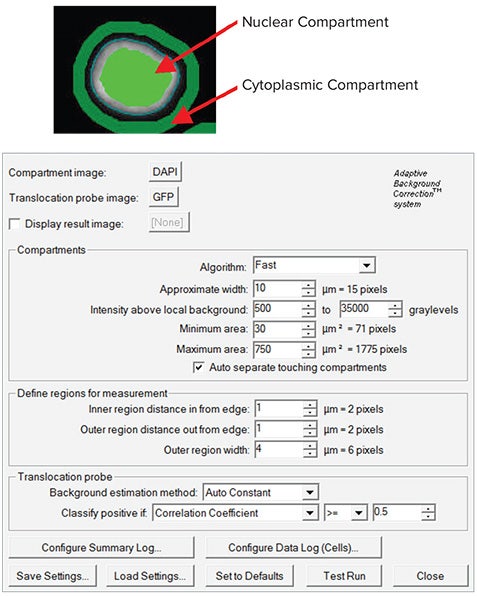 Translocation-Enhanced Application Module
