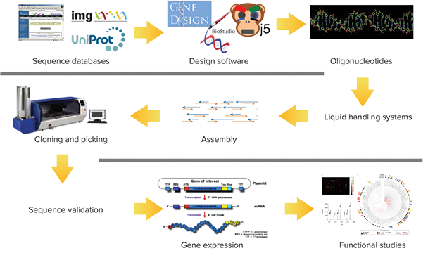 Synthetic metagenomics pipeline: a process adapted by DoE JGI for metagenomic studies
