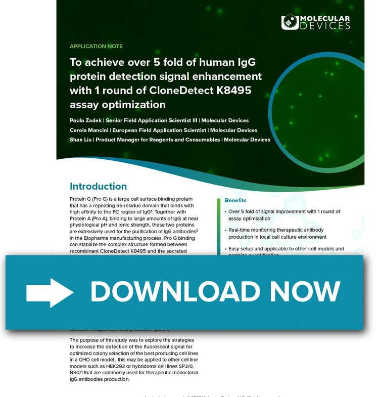 Human IgG Protein Detection Signal