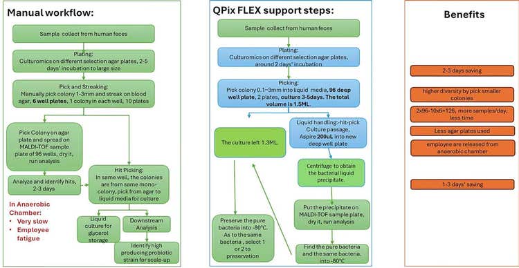 Comparative Anaerobic Workflows for Culturing Fecal-Derived Bacteria: Manual vs. QPix FLEX-Integrated Approach