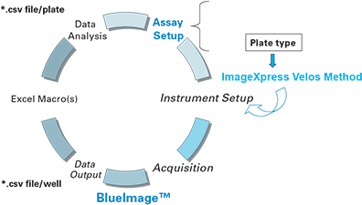 Flow diagram of data acquisition and data analysis
