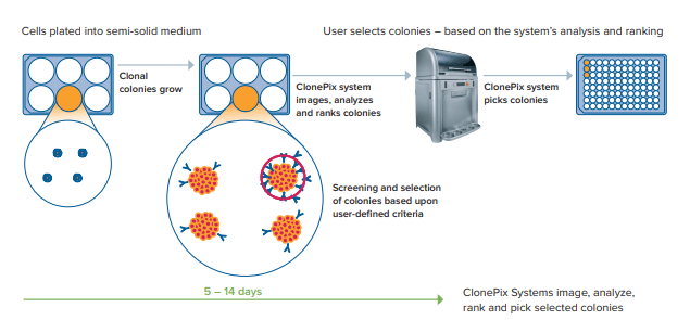 ClonePix Systems image, analyze, rank and pick selected colonies in 1-step process to increase cell line development workflow throughput and process efficiency