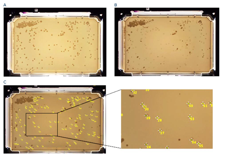 Pre-pick and post-pick images of source plate showing colony picking process, with colony counts analyzed using ImageJ software
