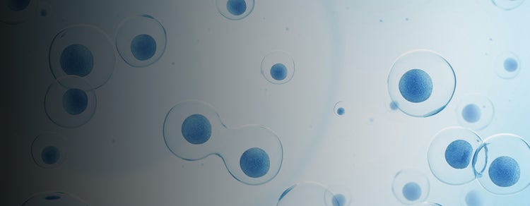 Fluorescence Screening