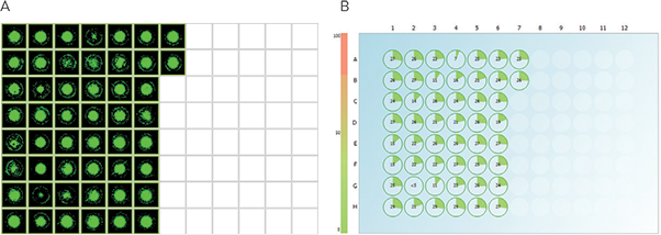 CloneSelect Imager Software analysis enables identification of optimally growing clones