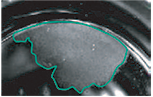 Ch1 laser scatter image of a single well from a hybridoma master culture plate