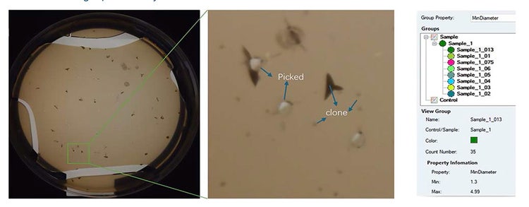 Colonies cultured on modified MRS media stratified into diameter metrics derived from QPix FLEX