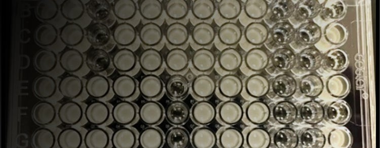 Microbial Research in QPix FLEX Colony Picker