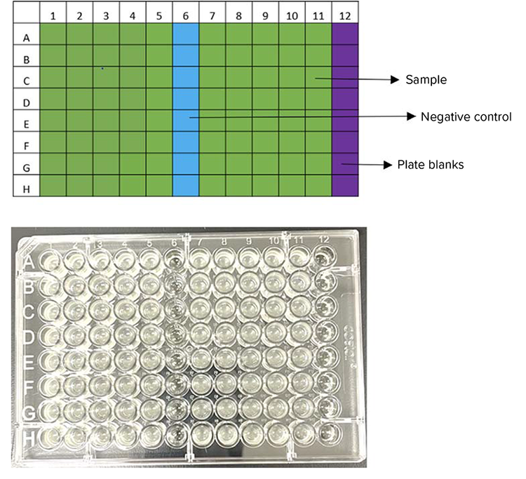 Destination plate map and example plate from high-speed colony picking using disposable plastic pins
