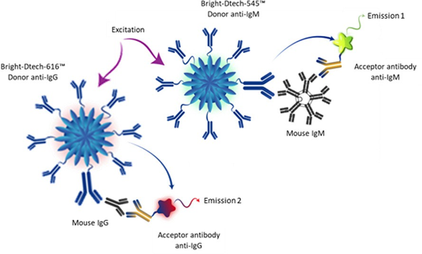 Multiplex TR-FRET technology using Bright-Dtech nanoparticles