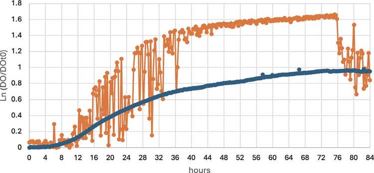Growth curves of clump-forming eukaryote C grown at 25°C with continuous (orange) or intermittent (blue) shaking