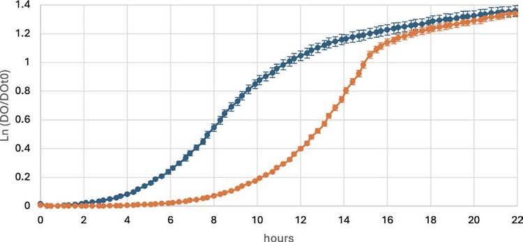 Growth curves of prokaryote B at 28°C with continuous (orange) or intermittent (blue) shaking