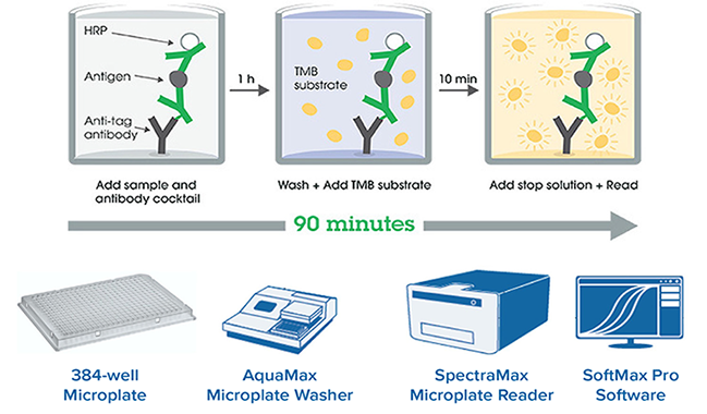 High-throughput ELISA- SimpleStep ELISA in 384-well format