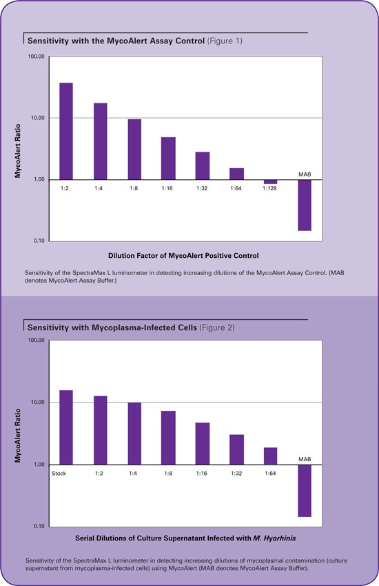 Sensitivity testing using mycoplasma-infected cells