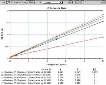 Color development of the phosphorus standard curve