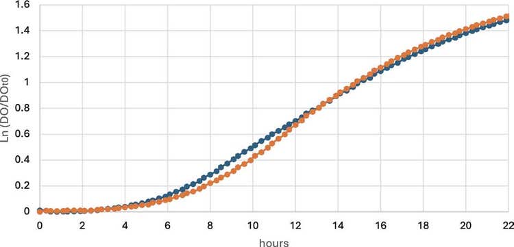 Growth curves of eukaryote A at 30°C with continuous (orange) or intermittent (blue) shaking