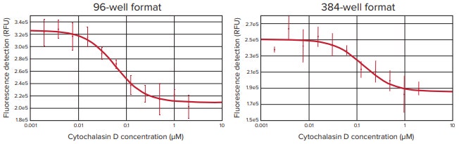 Cells stained with CellTracker Green show a decrease in fluorescence when exposed to increasing levels of Cytochalasin D as measured by the SpectraMax i3 reader