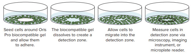 Schematic of Oris Pro Cell Migration Assay