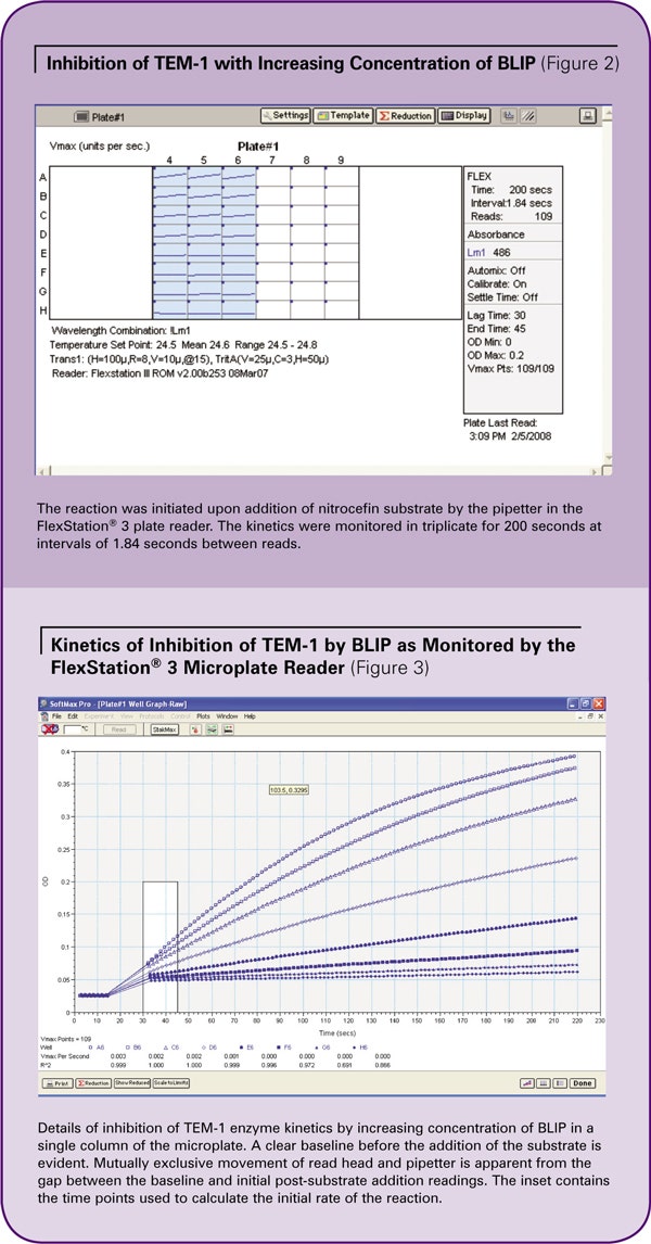 Inhibition of TEM-1