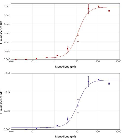 Menadione dose-response curve