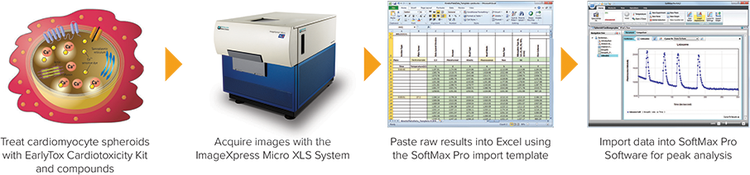 SoftMax Pro v6.4.2 import workflow