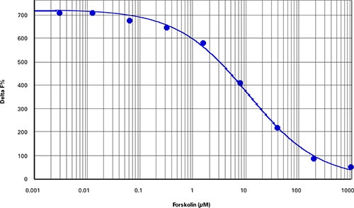 cAMP cell-based assay
