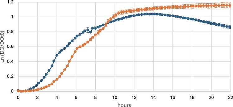 Growth curves of prokaryote A at 28°C, with continuous (orange) or intermittent (blue) shaking