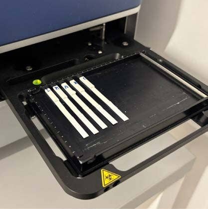 Strips for the PSA LFA placed on ScanLater™ system of TRF SpectraMax iD5 reader
