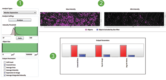Test analysis parameters on positive and negative samples before plate read