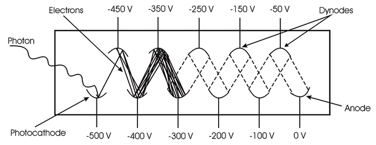 Diagram of a photomultiplier tube