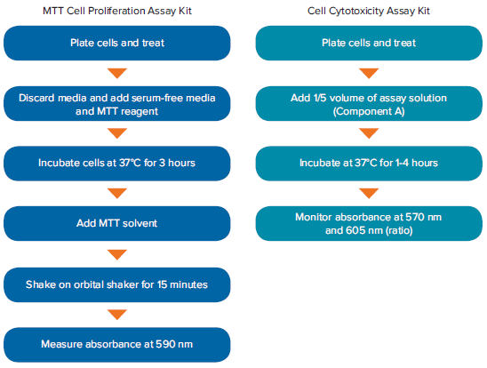 Workflows of the MTT Cell Proliferation and Cell Cytotoxicity