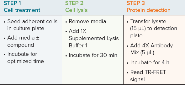 THUNDER TR-FRET workflow