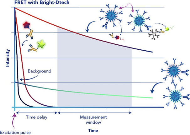 Principle of time-resolved signal measurement using Bright-Dtech nanoparticles