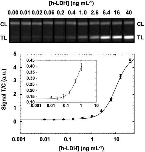 EuNPs-based LFIA strips after detecting serial dilutions of h-LDH in working buffer