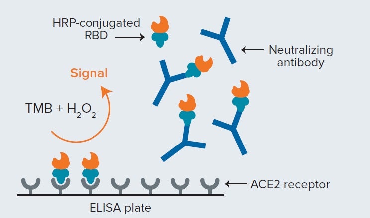 SARS-CoV-2 sVNT method