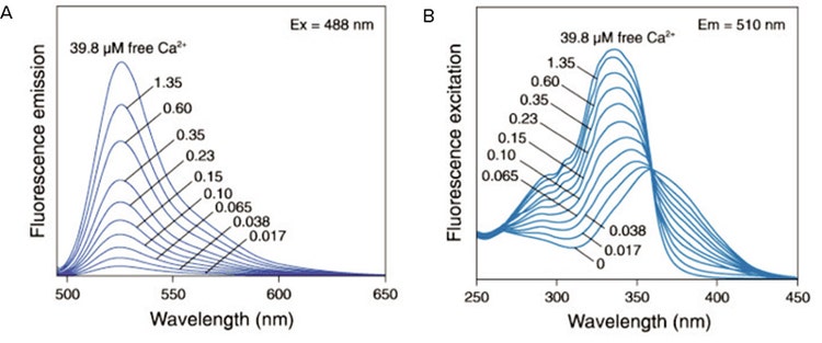 Fluo-3 emission spectra. The fluorescence emission spectra of Fluo-3